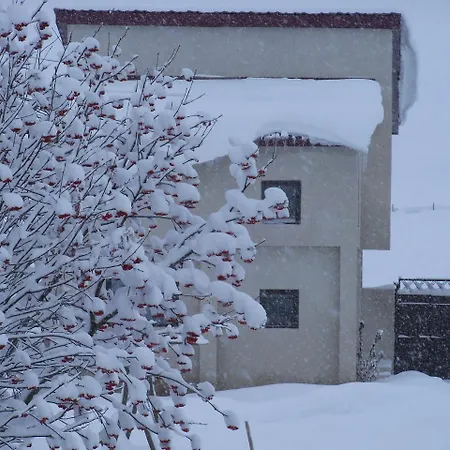 ---Allegria House--- Kazbegi Exterior foto